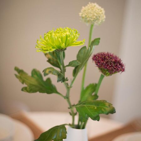 Appartamento Cotswold Grey Moreton-in-Marsh Esterno foto